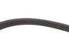 Поликлиновой ременный комплект (Вы-во) SKF VKMA 36055 (фото 4)