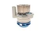 Насос водяной VAG (выр-во) SKF VKPC 81623 (фото 8)