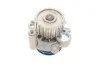 Насос водяной VAG (выр-во) SKF VKPC 81623 (фото 9)
