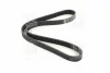Ремень поликлин. (выр-во) SKF VKMV6PK1100 (фото 4)