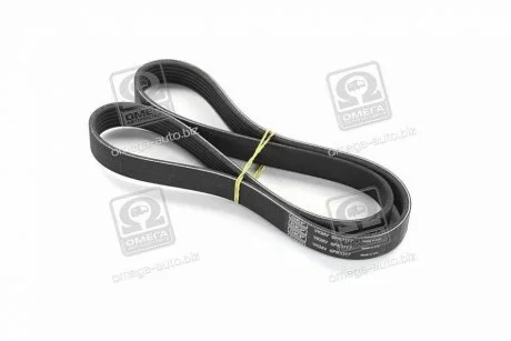 Ремінь поліклин. SKF VKMV6PK1117