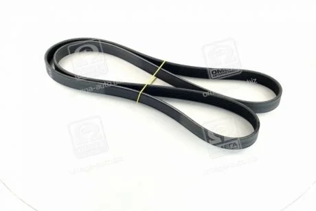 Ремень поликлин. (выр-во) SKF VKMV6PK1815