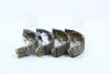 Колодка тормозов. барабан. HYUNDAI GETZ 1.1, 1.4, 1.6, 1.5CRDI (DRUM SIZE 7") 02- задн. (выр-во SANGSIN SA132 (фото 3)