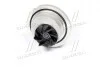 Водяний насос SCHAEFFLER GRUPPE 538 0296 10 (фото 4)