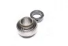Подшипник с корпусом SKF YEL 205-100-2FW (фото 2)
