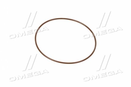 Кільце ущільнювальне поршня гідромуфти Case MX/8950/7240, 72.75?74.69?1.78 мм.(87774815) CNH 93137C1