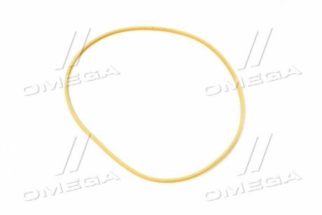 Кільце ущільнювача Case T8040-50/MX310 (139,65х143,05х2,87 мм)).) CNH 87433971