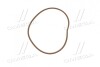 Кільце ущільнювальне Case (17292381/84441025) 0,139?x5,109? CNH 14466981 (фото 2)