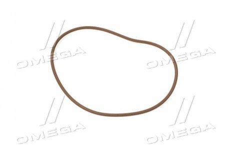 Кільце ущільнювальне Case (17292381/84441025) 0,139?x5,109? CNH 14466981