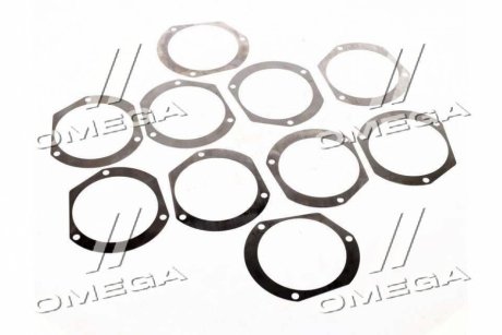 Комплект шайб Case MAGNUM/T8.390 регулировочных CNH 275216A2