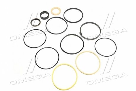 Ремкомплект Case гидроцилиндра TM II CNH 25834024