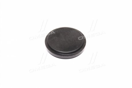 Пробка Case SPX3330 CNH 87630099