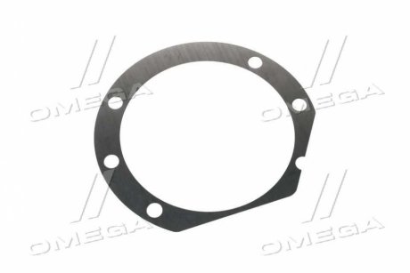 Прокладка Case 0,30 CNH 1286064C1