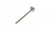 Клапан Lanos 1.6(16V) выпуск азот(4шт/26х6х)102) AMP PDAE006-A-0-N (фото 5)