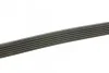 Пасок генератору Emgrand EC7 DAYCO 6PK1865 (фото 2)