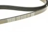 Пасок генератору Emgrand EC7 DAYCO 6PK1865 (фото 4)