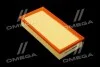 Фільтр повітряний ExtraClean Professional Rider REC130211 (фото 1)