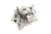 Водяной насос + комплект зубчатого ремня (Выр-во) SKF VKMC 03305 (фото 12)