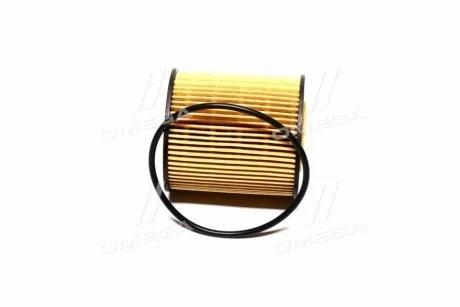 Фільтр масляний ExtraClean BMW Rider REC140099