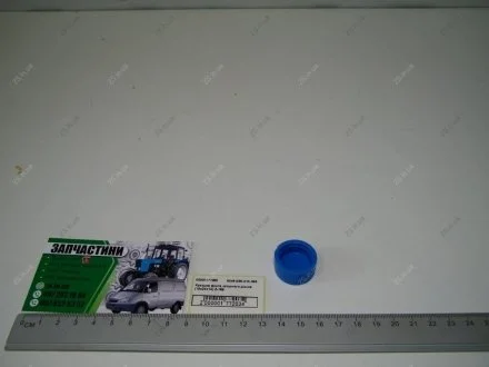 Крышка винта опорного диска (19х24х12) косилки роторной Z-169 Wirax 8245-036-010-393