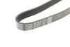 Ремень поликлиновый (Выр-во) DAYCO 6PK2615 (фото 5)