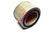 Фільтр салону JOHN DEERE, Комбайни 9500-9610, W, T, WTS, STS, CTS JOHN DEERE [AH115833] AGCO [AG517804] Cametet 10036-88 (фото 1)