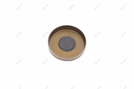 Заглушка ГРМ MB M271/OM642 40 mm (вір-во) Elring 125.820