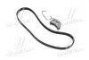 Комплект поликлиновых ремней (И-во) Contitech 4PK922 ELAST T1 (фото 1)