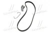 Комплект поликлиновых ремней (И-во) Contitech 4PK922 ELAST T1 (фото 4)