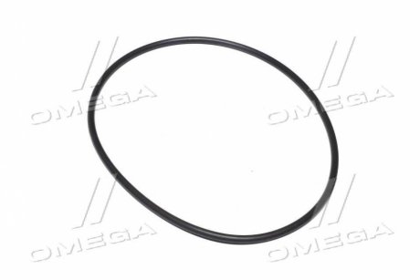 Уплотнительное кольцо 100 Х 3,0 мм ТНВД (JD) JOHN DEERE R500318 (фото 1)