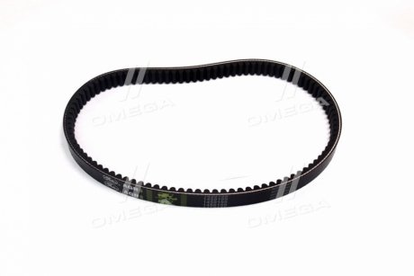 Ремінь варіаторний CLAAS Lexion(Agri) Gates 1459199
