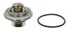 Термостат BMW; LAND ROVER; OPEL; ROVER (Mahle) Knecht/Mahle TX 38 80 D (фото 1)