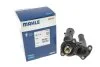 Термостат FORD (Mahle) Knecht/Mahle TM 31 98 (фото 5)