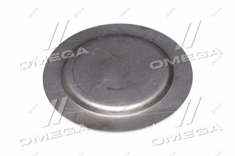 Заглушка підшипника півшкворня Case Mag.310/T8040 (234731) AGRI PARTS 18AP003876