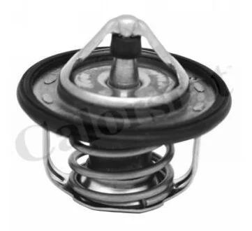 Термостат NISSAN / RENAULT (вір-во Vernet) CALORSTAT by Vernet TH7300.95J