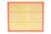 Фильтр воздушный VW CRAFTER II 2.0 TDI 17- (выр-во WIX-FILTERS) WIX FILTERS WA9843 (фото 1)