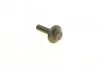 Роликовый модуль натяжителя ремня (ролик, ремень)FORD C-MAX, FIESTA, FOCUS, GRAND C-MAX Bosch 1987948972 (фото 10)