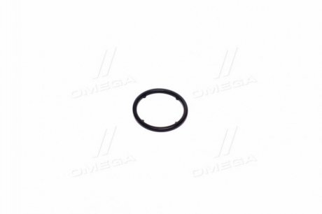 Прокладка масляного насоса DAEWOO/CHEVROLET EPICA (GM) GM (CHEVROLET/DAEWOO/OPEL) 94535516