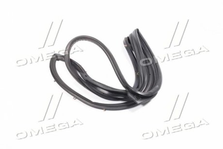 Ущільнювач задніх дверей лівих (GM) GM (CHEVROLET/DAEWOO/OPEL) 96649136