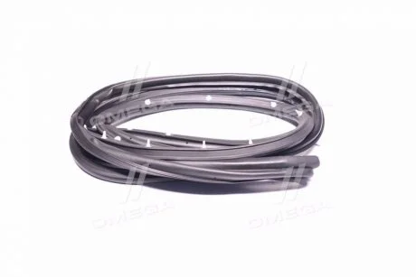 Уплотнитель двери (выр-во GM) GM (CHEVROLET/DAEWOO/OPEL) 96548102