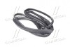Уплотнитель двери (выр-во GM) GM (CHEVROLET/DAEWOO/OPEL) 94790530 (фото 1)