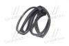 Уплотнитель двери (выр-во GM) GM (CHEVROLET/DAEWOO/OPEL) 94790530 (фото 4)