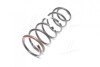 Пружина (GM) GM (CHEVROLET/DAEWOO/OPEL) 96257711 (фото 2)