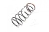 Пружина (GM) GM (CHEVROLET/DAEWOO/OPEL) 96257711 (фото 4)