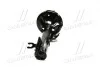 Амортизатор передний L газ. Chevrolet Aveo T200 Т250 Т255 OE: 96653231 NEW GY0319G (выр-во) CTR CYG-253-G (фото 2)