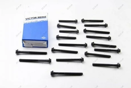 Комплект болтов ГБЦ VICTOR REINZ 14-32031-01