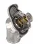Термостат OPEL ASTRA/ CORSA (вір-во Mahle) Knecht/Mahle TI 224 92 (фото 1)