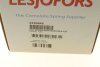 Пружина LESJOFORS 4256846 (фото 6)