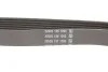Пас приводной с длиной круга более 60см, но не более 180см DAYCO 6PK1004K (фото 2)