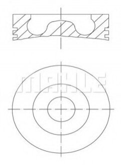 Поршень Mahle Knecht/Mahle 0280202 (фото 1)